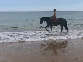 Plage à cheval