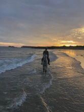 Plage à cheval