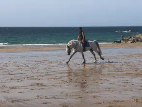Plage à cheval